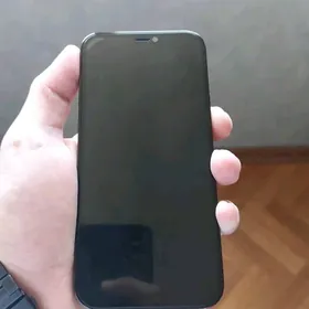 12pro