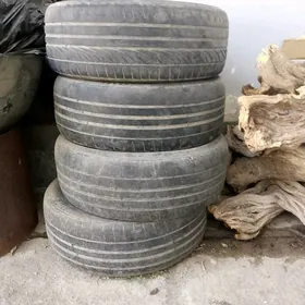 teker pakrisga