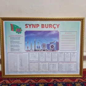 Synp burchy