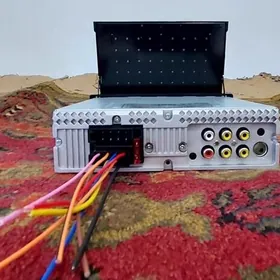 pioneer cykỳan