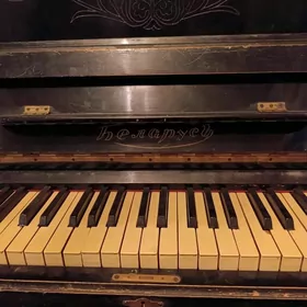 pianino