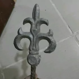 Rasotka Nayza