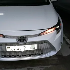 woditl gerekmi sürji