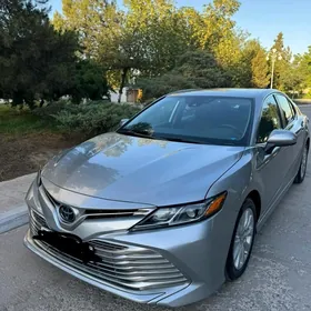 Toyota Camry 2020