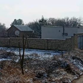 satlyk daca