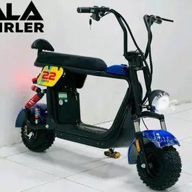 TOKLY TIGIR MATOR SKUTER SGWEY