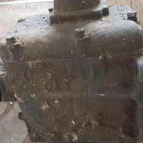 Karopga  53 66