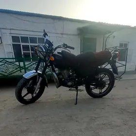 Fekon FK150-8G 2014