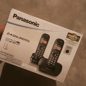 Panasonic 2 li damasny