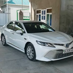 Toyota Camry 2019
