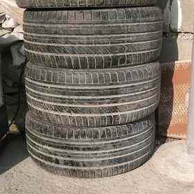 Pakrişka ( teker diska ) R17
