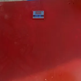 İnkubator