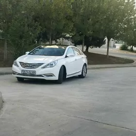 водитель