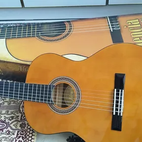 gitara.valencia