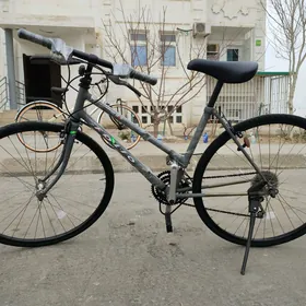 TIGIR FOLIO ALUMINUM BY MIYATA