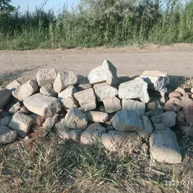 Bardurdan çykan bitonlar