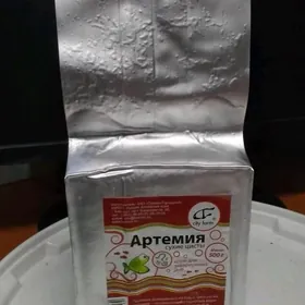 яицо Артемия