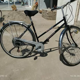 Welsopet