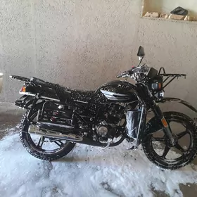 Fekon FK150-8G 2013