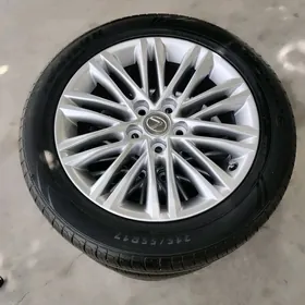 lexus disga arginal 17