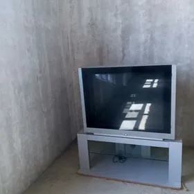telewozir