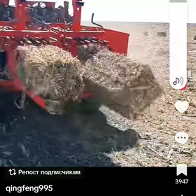 işgär gerek gyssagly
