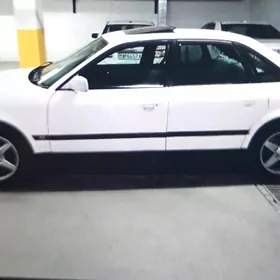 Audi 100 zapcas