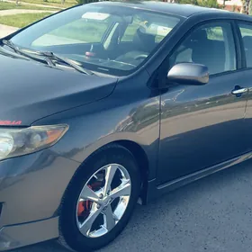 Toyota Corolla 2010