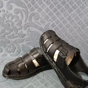 erkek kôwüş