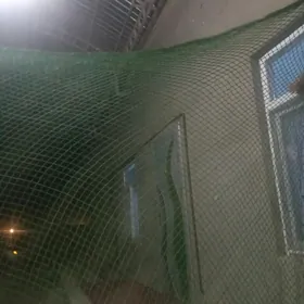 Balyk tutulyan setga