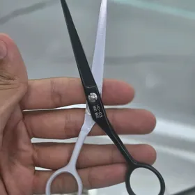 Jaguar Gayçy Barber