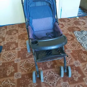 Caga kalyaska