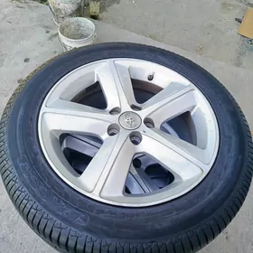 16 korola disga pakrysga