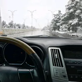 Lexus RX 350 2008