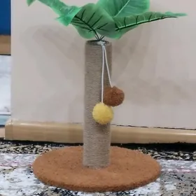 Коктеточка
