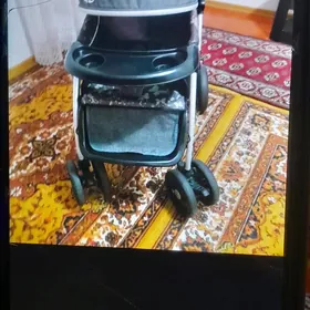 Çaga kolyaskasy