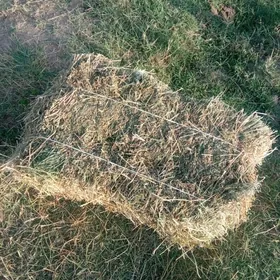 Ůrunja