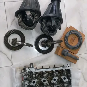 mosd