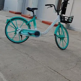 yapoşka tigir