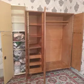 шифонер российский