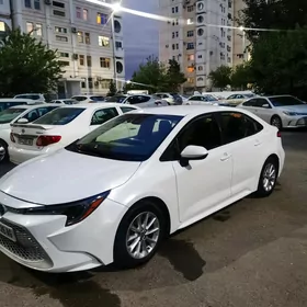 Toyota Corolla 2021