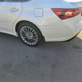 Avalon brazgawik 2013.2019