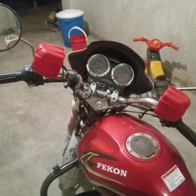 Fekon FK200-14G 2020