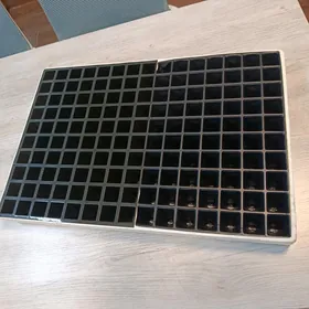 Şitilhana insert