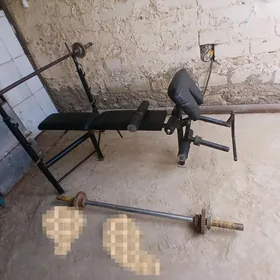 Satlyk