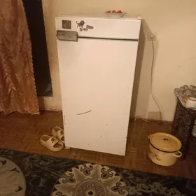 брюса.3