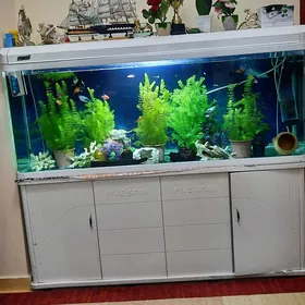 akwaryum zawadiskoy 380 Lt