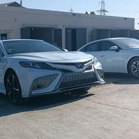 Toyota Camry 2020