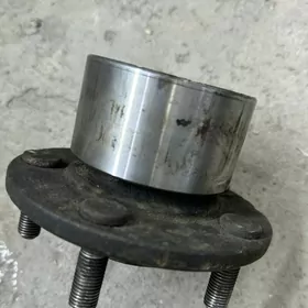 stupista pasibnik