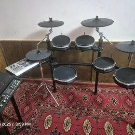 Alesis udarnik